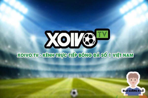 Xoivo TV - Kênh tường thuật trực tiếp bóng đá số 1 7 Tìm hiểu ngay xem kênh XoivoTV là gì?